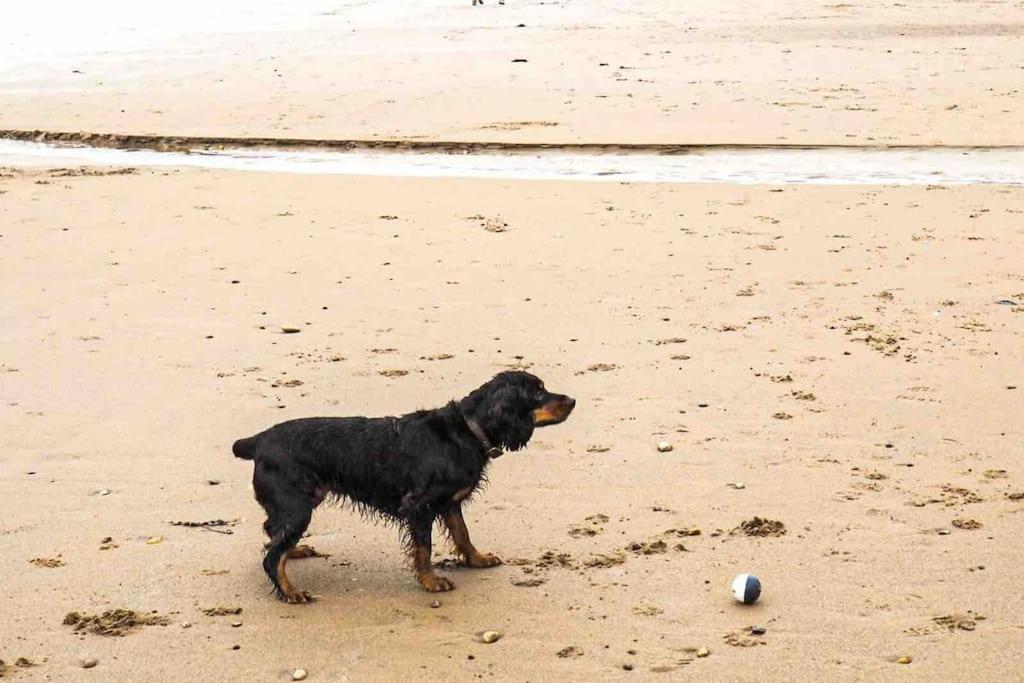 Large Cottage, Beach, Pubs Shops, Netflix, Bbq, Dog Friendly * Hunmanby